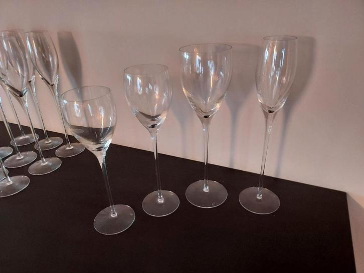 46 kristallen glazen Schott Zwiesel wit, rood, water & champ, Verzamelen, Glas en Drinkglazen, Zo goed als nieuw, Overige typen