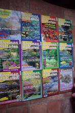 Diverse tijdschriften tuinieren, Ophalen, Zo goed als nieuw, Tuinieren en Tuinplanten