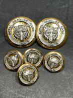 Oude kostuum knopen van Royal Drag de Gand, Ophalen of Verzenden, Overige soorten, Overige typen