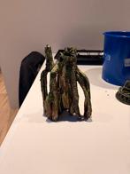 Decoratie aquarium, Ophalen