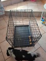 Cage chien, Animaux & Accessoires, Maisons pour chiens, Enlèvement, Comme neuf