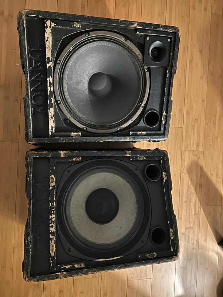 Tannoy 12” PA set - 1 driver vervangen - werkend, Audio, Tv en Foto, Luidsprekerboxen, Gebruikt, Front, Rear of Stereo speakers