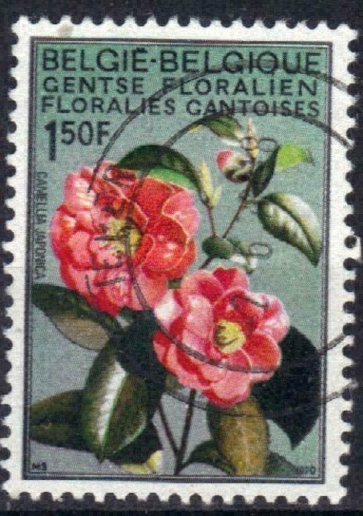 Belgie 1970 - Yvert/OBP 1523 - Gentse Floralien IV (ST), Postzegels en Munten, Postzegels | Europa | België, Gestempeld, Verzenden
