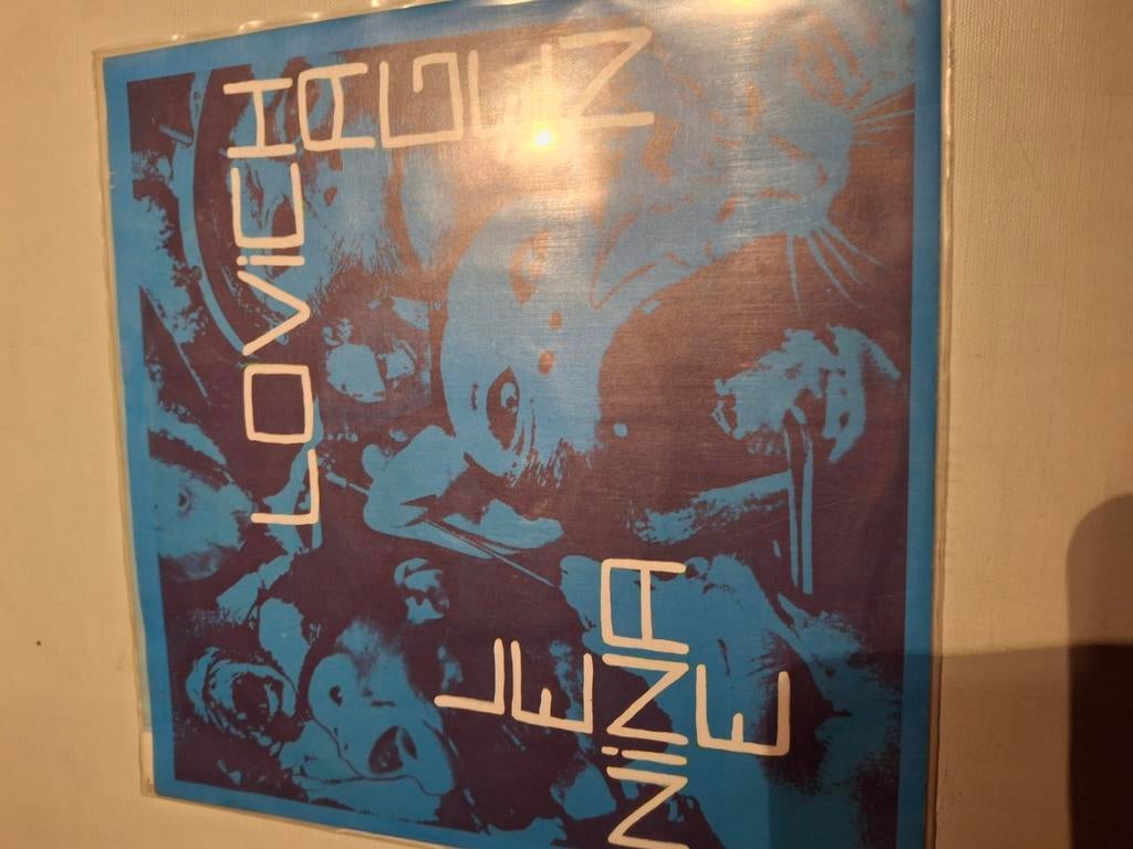 Nina hagen en lena lovich, Ophalen of Verzenden, Zo goed als nieuw