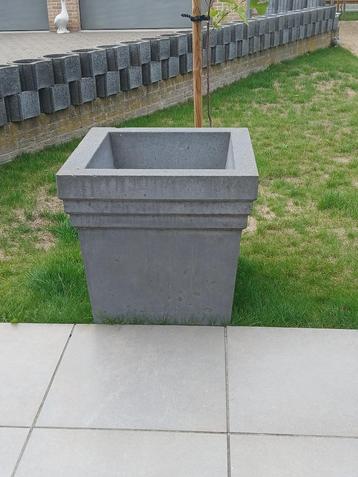 grote betonnen bloembak, Enlèvement, 60 à 100 cm, 60 cm ou plus, Jardin