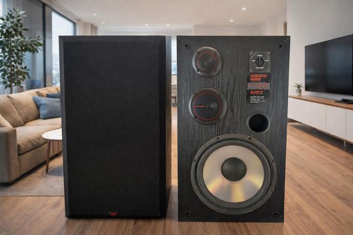 Acoustic Audio H-CD12 luidsprekers – set van 2, Audio, Tv en Foto, Luidsprekerboxen, Ophalen