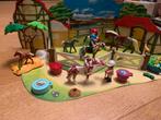 Playmobil Adventskalender Paardrijclub 9262, Kinderen en Baby's, Ophalen of Verzenden, Zo goed als nieuw