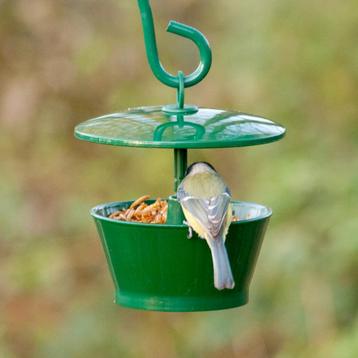 Meelworm Feeder * Nieuw* beschikbaar voor biedingen