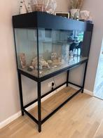 Grand Aquarium, Animaux & Accessoires, Enlèvement, Comme neuf, Aquarium vide