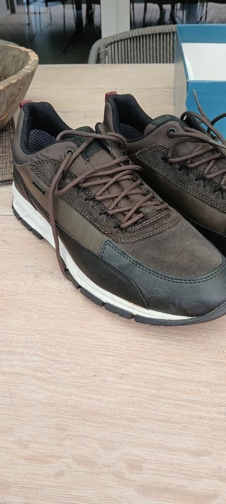 Herenschoenen Geox, Floris Van Bommel Adidas, Kleding | Heren, Schoenen, Nieuw, Sportschoenen, Bruin, Ophalen