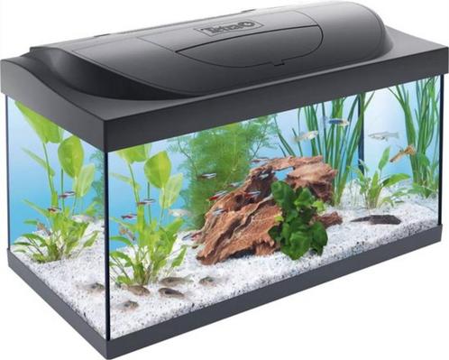Nieuw Tetra aquarium starter line LED 54L 61x36x31cm Zwart, Dieren en Toebehoren, Vissen | Aquaria en Toebehoren, Nieuw, Leeg aquarium