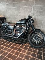 Harley davidson 883 black iron !!, Motoren, Chopper, Bedrijf, 883 cc, Meer dan 35 kW