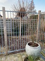 Hondenren 1m50, Ophalen, Zo goed als nieuw