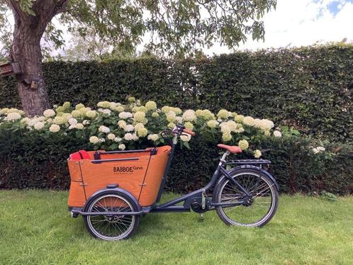 Babboe Curve Mountain Bakfiets, Fietsen en Brommers, Fietsen | Bakfietsen, Gebruikt, Overige merken, 4 kinderen of meer, Elektrisch