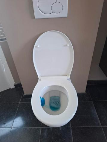 Hangtoilet/hangwc met inbouwreservoir Geberit