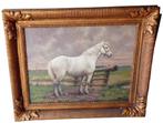 Albert Caullet "paard" 1875-1950, Antiek en Kunst, Kunst | Schilderijen | Klassiek, Ophalen of Verzenden