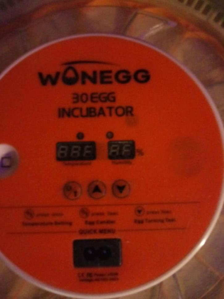 Broedmachine 30 eieren in nieuwstaat, Animaux & Accessoires, Volatiles, Autres espèces, Sexe inconnu