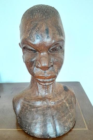 ART AFRICAIN - BUSTE - beschikbaar voor biedingen