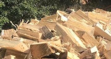 Gekloven brandhout beschikbaar voor biedingen