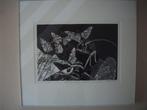 ETS "PIJLSTAART VLINDERS", Antiek en Kunst, Kunst | Etsen en Gravures, Ophalen