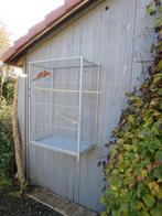 Volière met parkiet, Dieren en Toebehoren, Parkiet