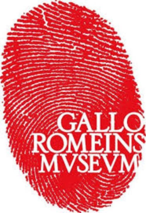 Toegangskaarten/tickets Gallo-Romeins Museum (max. 5 pers.), Tickets en Kaartjes, Musea, Drie personen of meer, Ticket of Toegangskaart