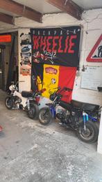 2 daxen te koop/te ruil, Fietsen en Brommers, Ophalen, Zo goed als nieuw