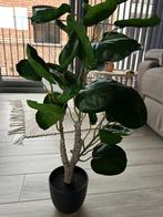 Kunstplant, Huis en Inrichting, Ophalen, Zo goed als nieuw, Binnen