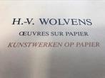 Henri-Victor Wolvens werken op papier 60pag, Ophalen of Verzenden, Zo goed als nieuw, Schilder- en Tekenkunst