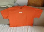 T-shirt Puma court orange taille M, Vêtements | Femmes, T-shirts, Manches courtes, Taille 38/40 (M), Enlèvement ou Envoi, Puma