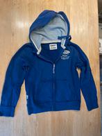 Pull R95th 14 jaar, Kinderen en Baby's, Kinderkleding | Maat 164, Ophalen, Zo goed als nieuw, Trui of Vest