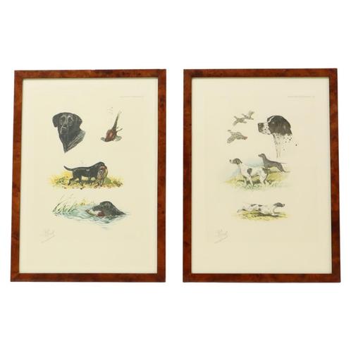 Kleuren Litho’s Boris Riab Jachthond Gesigneerd Kunst Paris, Antiek en Kunst, Kunst | Litho's en Zeefdrukken, Ophalen of Verzenden