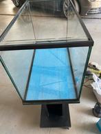 Aquarium met meubel en vele toebehoren, Dieren en Toebehoren, Ophalen, Zo goed als nieuw