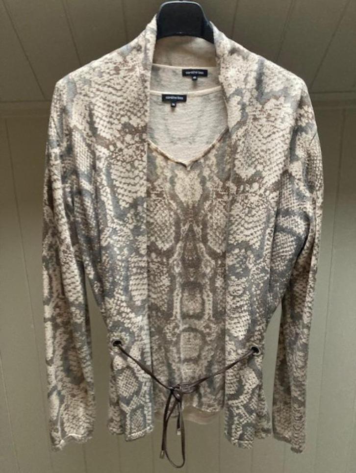 Twinset van Caroline Biss M / 38 / 10, Kleding | Dames, Truien en Vesten, Zo goed als nieuw, Maat 38/40 (M), Overige kleuren, Ophalen of Verzenden