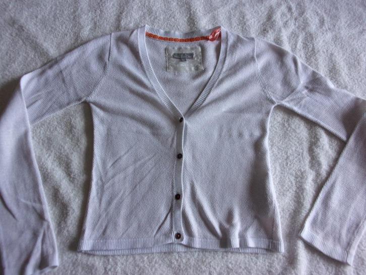 meisjesgilet. Maat 134-140, Kinderen en Baby's, Kinderkleding | Maat 134, Gebruikt, Meisje, Trui of Vest, Ophalen of Verzenden