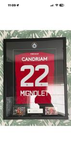 Framed shirt Simon Mignolet, Enlèvement, Comme neuf