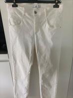 Damesbroek, Kleding | Dames, Ophalen of Verzenden, Maat 38/40 (M)