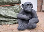 Aap , Chimpansee ., Tuin en Terras, Ophalen