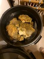 Levend steen zeeaquarium, Dieren en Toebehoren, Ophalen, Gebruikt, Plant(en), Steen of Hout