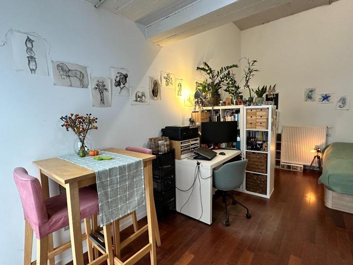 Studio for rent only for students, Immo, Appartementen en Studio's te huur, Mechelen, 20 tot 35 m²