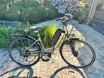 Elektrische fiets Giant e+, Fietsen en Brommers, Ophalen, Giant