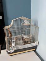 Vogel/kanarie/papegaaienkooi, Dieren en Toebehoren, Ophalen, Gebruikt, Metaal, Vogelkooi