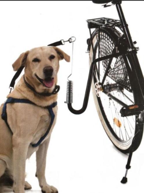 Springler, Dieren en Toebehoren, Honden-accessoires, Zo goed als nieuw, Ophalen