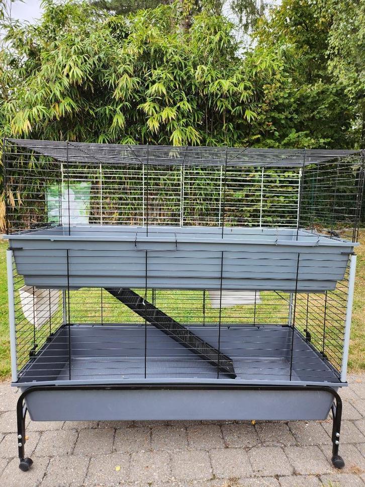 knaagdierkooi, Dieren en Toebehoren, Knaagdieren en Konijnen | Hokken en Kooien, Zo goed als nieuw, Kooi, 90 cm of meer, 110 cm of meer
