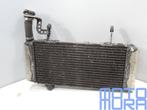 Radiateur voor de Suzuki SV 1000 2003 - 2007 SV1000 koeler 2, Motoren, Onderdelen | Suzuki, Ophalen of Verzenden, Gebruikt