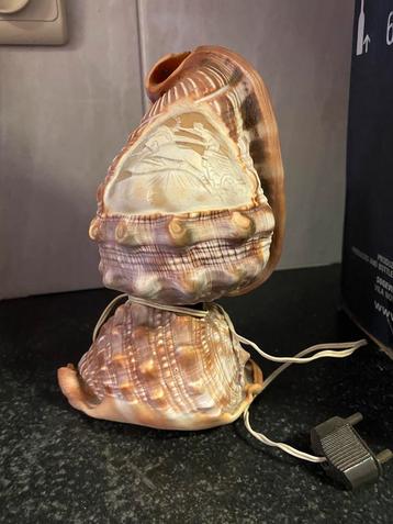 Camee schelpenlamp 19 cm beschikbaar voor biedingen