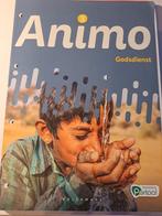 Godsdienst: werkboek Animo 3 de middelbaar A-stroom TSO, Boeken, Schoolboeken, Ophalen, ASO, Godsdienst en Levensbeschouwing, Zo goed als nieuw