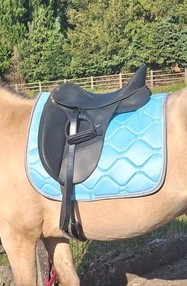 Wintec dresuurzadel, Dieren en Toebehoren, Pony's