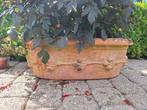 terracotta ovale pot impruneta, Tuin en Terras, Ophalen, Tuin, Zo goed als nieuw, Overige vormen