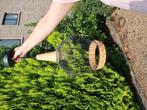 Zwarte rotan hanglamp te koop, Huis en Inrichting, Ophalen